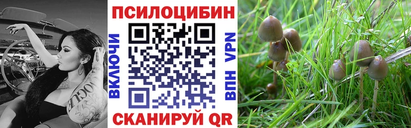Псилоцибиновые грибы Magic Shrooms  это телеграм  Ликино-Дулёво 